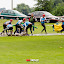 20110730_msp_hnevosice_023.jpg