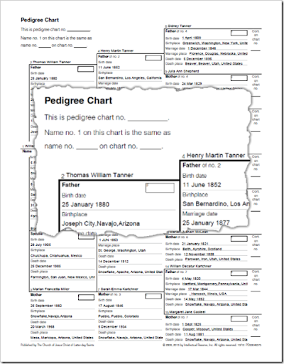 Familysearch Blank Pedigree Chart