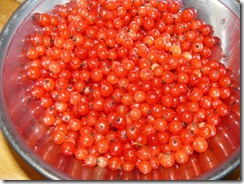 cherries, strawberries, currants 020