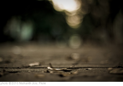 'Good Bye . . . Pick up your crazy heart & give it one more try' photo (c) 2010, Nishanth Jois - license: http://creativecommons.org/licenses/by/2.0/