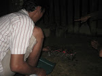 Nyate-Sate campur Arang rasa Carbon 1432H - Balikpapan