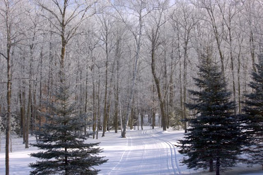 One of the access trails