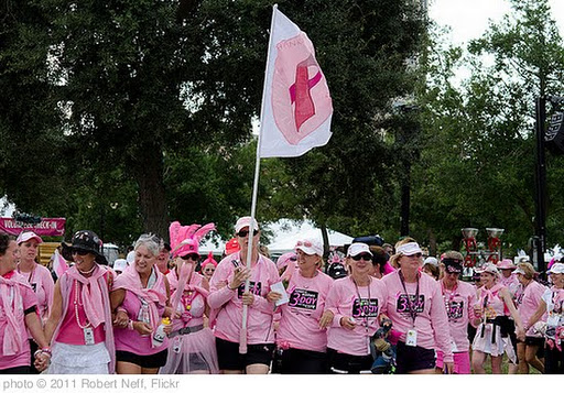 'Teams Lined up - Ready to Walk to the Closing Ceremonies,  #the3day 60 mile Walk for Breast Cancer' photo (c) 2011, Robert Neff - license: http://creativecommons.org/licenses/by/2.0/