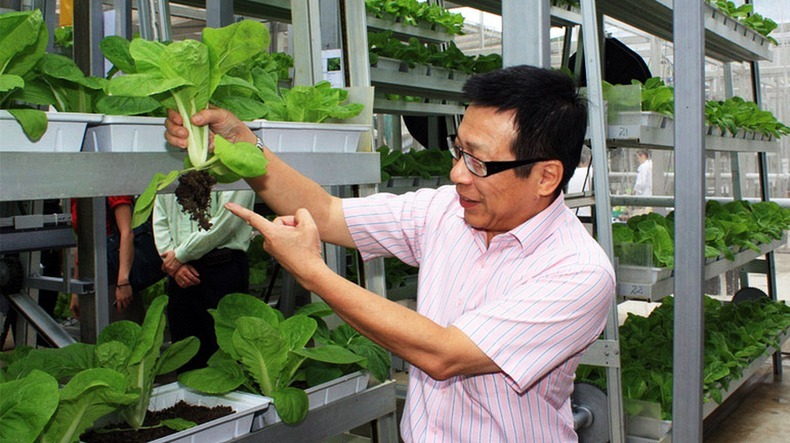 skygreens-vertical-farm-1 skygreens-vertical-farm-1