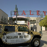 RaleyField_080813_river_cats_daviesk_