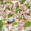 Champerge-2011-Event-Hampshire-t-Hof-van-Gelre-lochem-099.jpg
