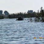 IMG_7976.JPG