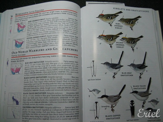 [gG%2520081%255B8%255D.jpg]