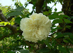 P1090084.JPG