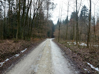 Langholz Photo