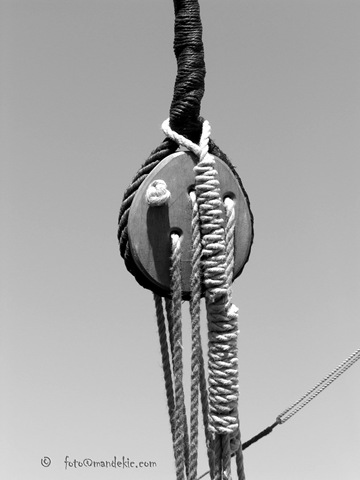 [PICT6778_watermark4.jpg]