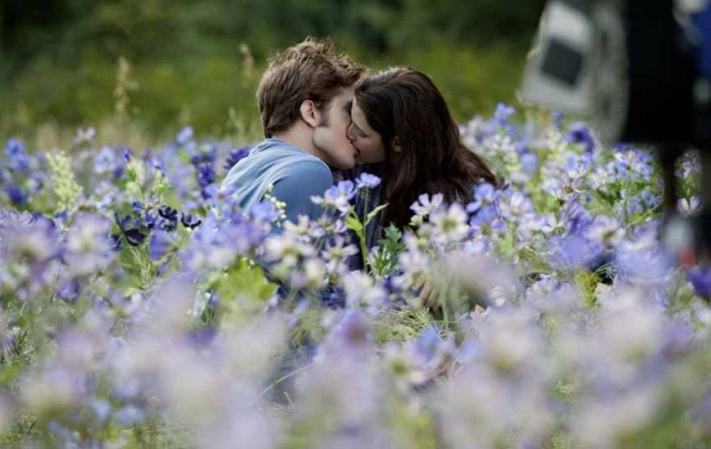 [-New-B-E-in-the-Meadow-Kisses-twilight-series-10418928-1300-866%255B1%255D.jpg]
