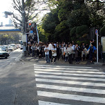 crowd about to cross the street in Harajuku in Harajuku, Japan 