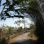 The road across Timur to Fatu Timau