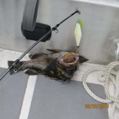 IMG_0474.jpg IMG 0474