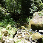P1000760.JPG