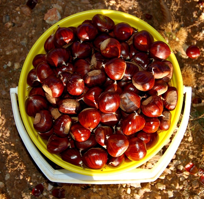 [4492998%255B1%255D%255B5%255D.jpg]