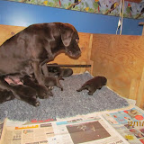 IMG_1250.JPG