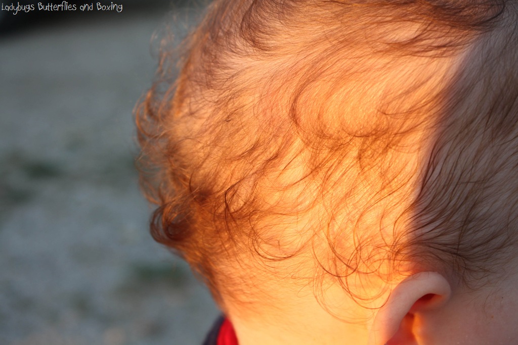 [Colton%2527s%2520Curls%25207-4-2011%255B10%255D.jpg]