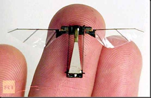 insect-drone insect-drone