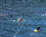 IMGP3263.jpg IMGP3263.jpg