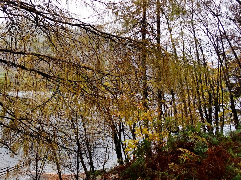 [DSC039095.jpg]