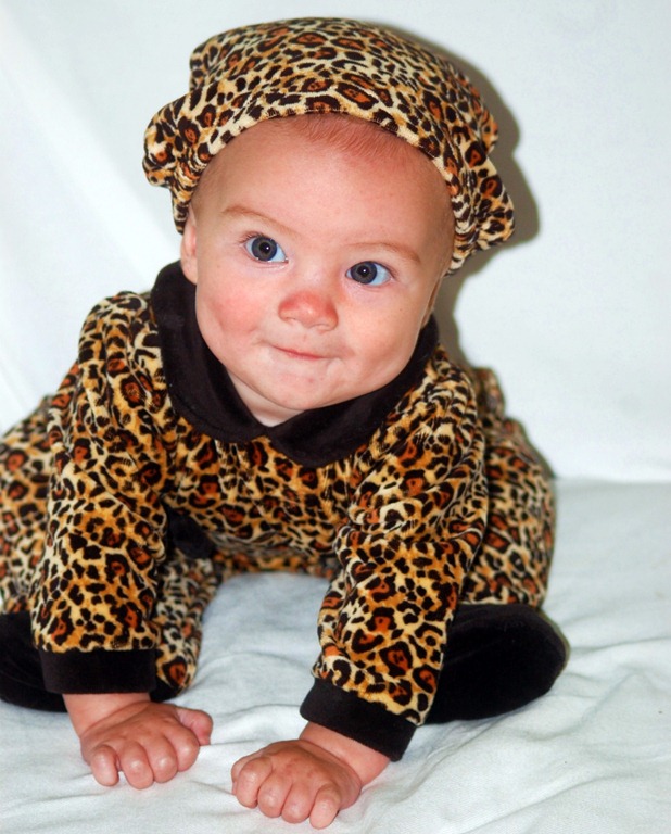 [leopard%255B6%255D.jpg]