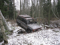 IMG_0029.JPG Photo
