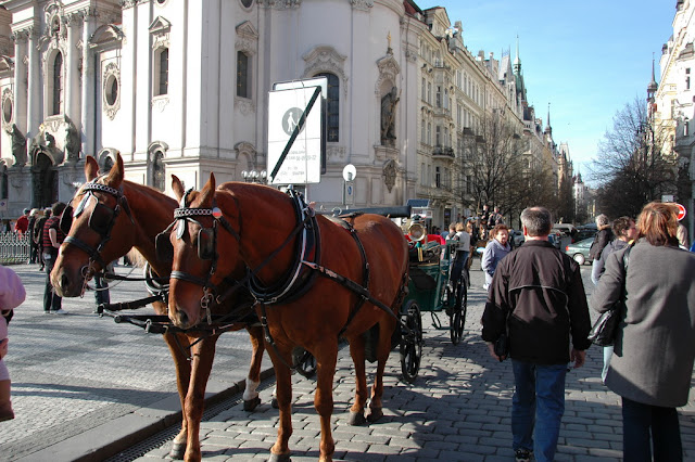 20080315Czech280.JPG