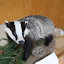 waldweihnacht 2010 098.jpg