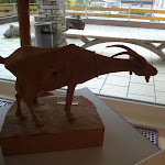 DSC05262.JPG