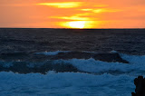 DSC_0431.JPG