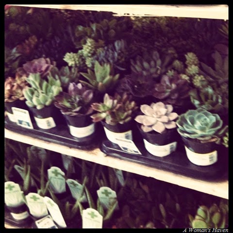 [IMG_20140409_194533%255B3%255D.jpg]