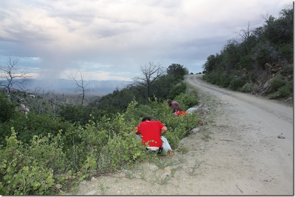 1st day school, mt lemmon, etc 117