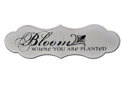 Bloom Where you are Planted