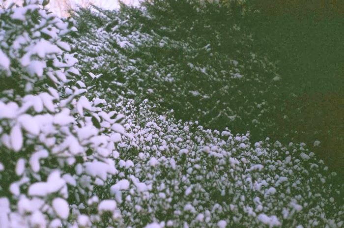 65420011.jpg 65420011