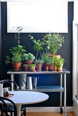 [indoor_herb_garden%255B5%255D.jpg]