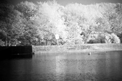 Infrared-Holga