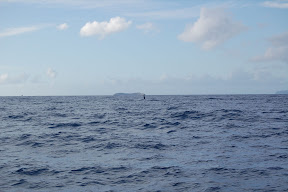 DSC_0845.JPG