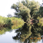 DSCN4500.JPG