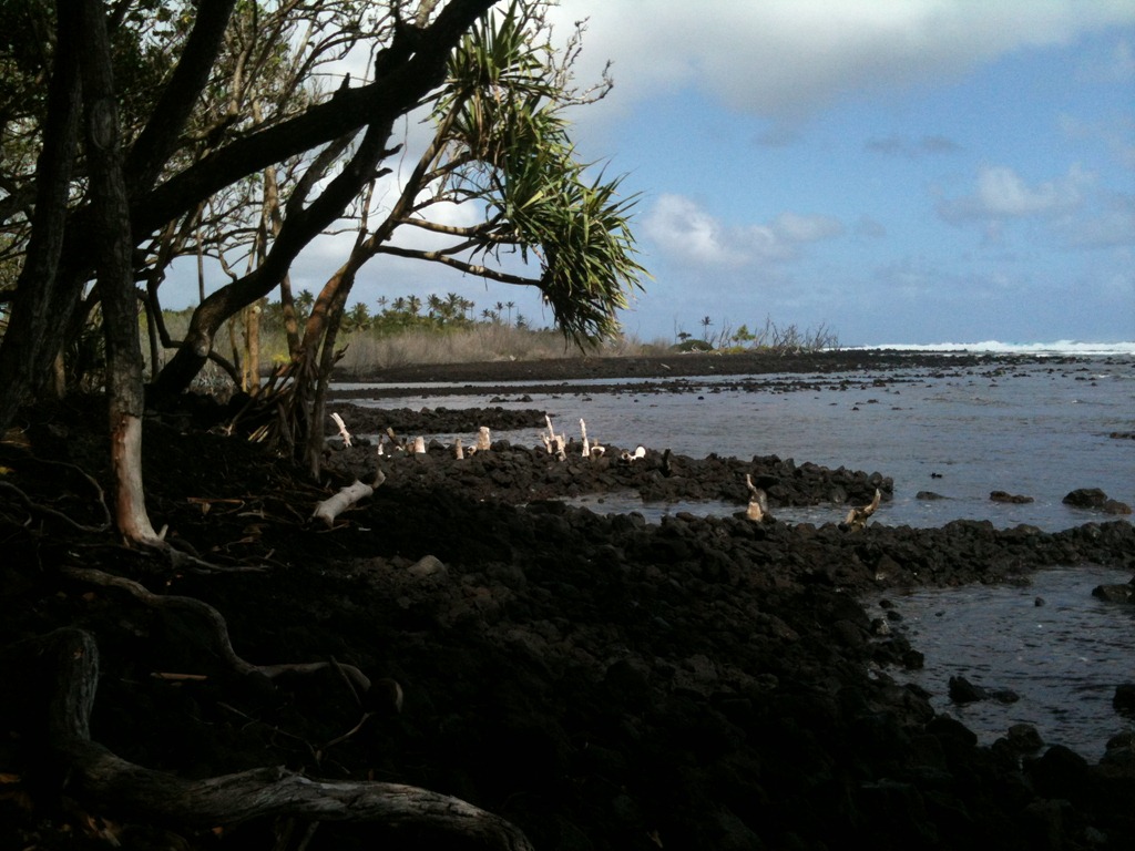 [IMG_0398%255B3%255D.jpg]