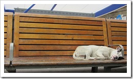 IMG_3218 IMG_3218