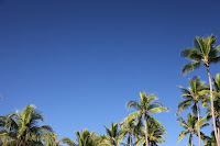More blue sky