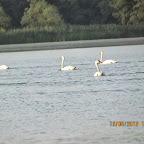 IMG_7902.JPG