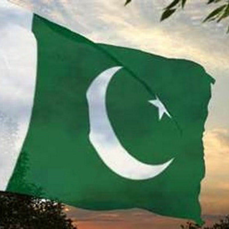 Thin Pak Flag in front of the Trees in Evening