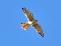 DSC_7829.jpg