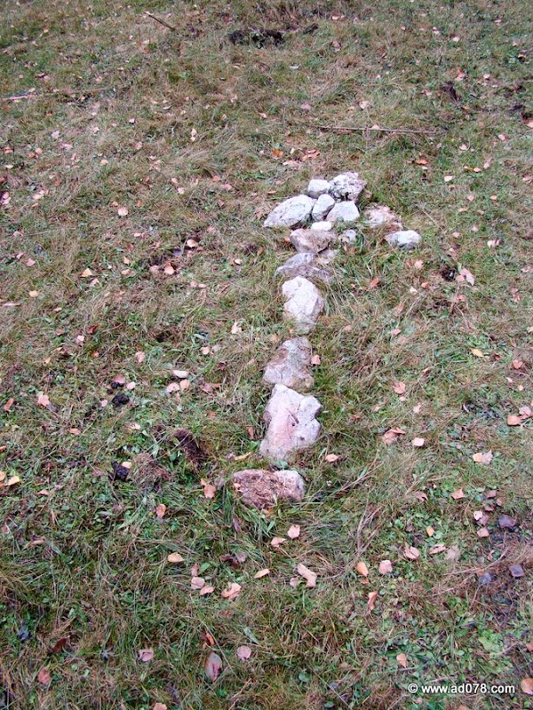 cioranga ramura de sus-4.JPG