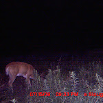 MDGC0257.JPG