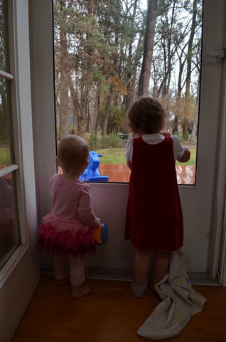 [DSC_0018%255B3%255D.jpg]