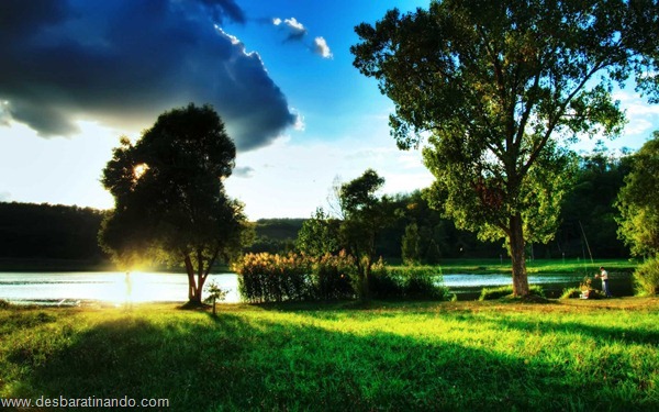 wallpapers-papei-de-parede-paisagem-natureza-nature-desbaratinando (7) wallpapers-papei-de-parede-paisagem-natureza-nature-desbaratinando (7)